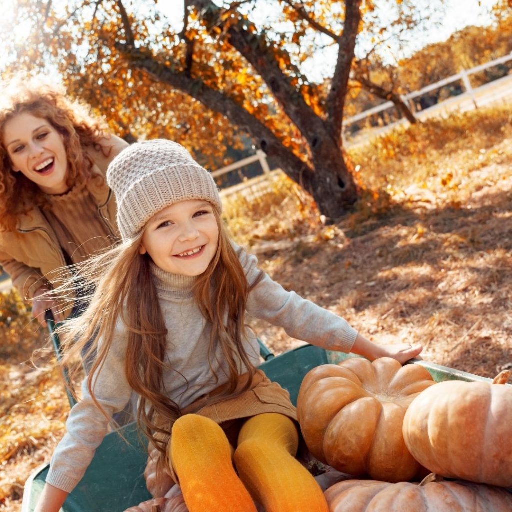 Child in wheelbarrow with pumpkins